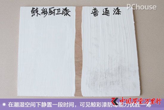 廚衛(wèi)空間的保潔衛(wèi)士 鯨彩颯緹廚衛(wèi)漆評(píng)測(cè)