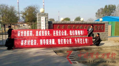 套證農(nóng)藥致甜瓜絕收 廠家主動(dòng)提出“象征性罰點(diǎn)款就行了”