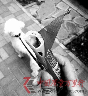 czһӣǿĵģcw߀3(g)С